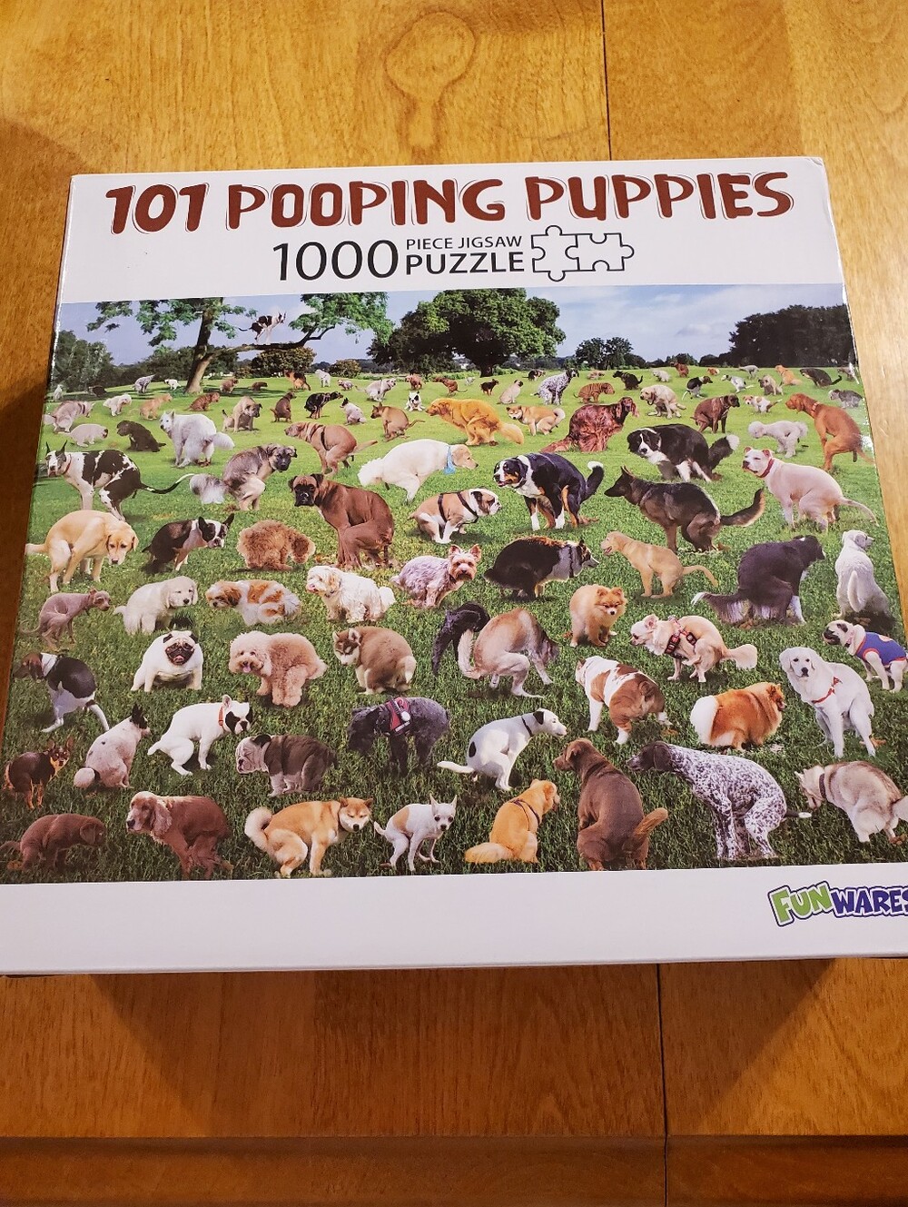 Funwares Original 101 Pooping Puppies Puzzle - Hilarious Jigsaw Puzzle -